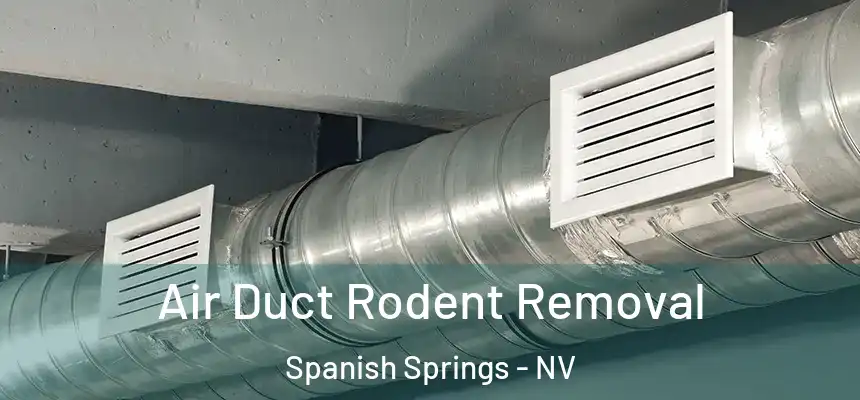 Air Duct Rodent Removal Spanish Springs - NV