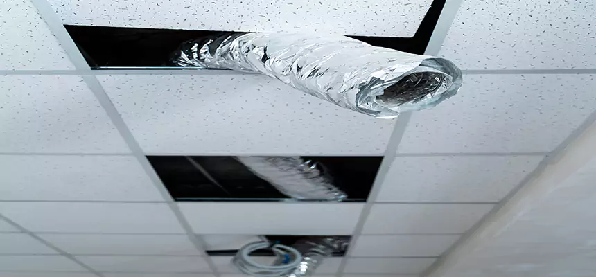 Affordable HVAC Sanitizing After Pest Removal in Spanish Springs