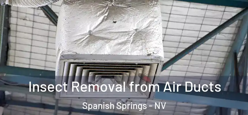 Insect Removal from Air Ducts Spanish Springs - NV