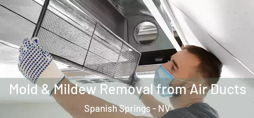  Mold & Mildew Removal from Air Ducts Spanish Springs - NV