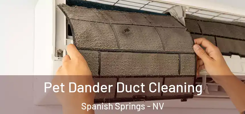 Pet Dander Duct Cleaning Spanish Springs - NV