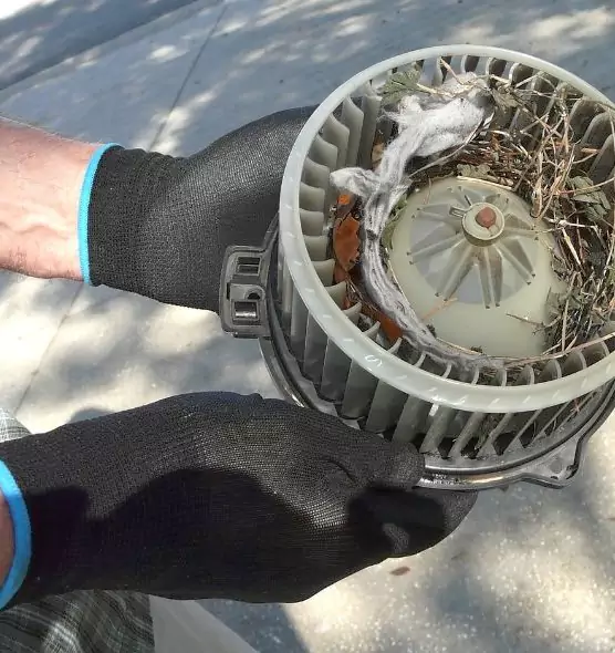 About Air Duct Mice Removal in Spanish Springs, NV