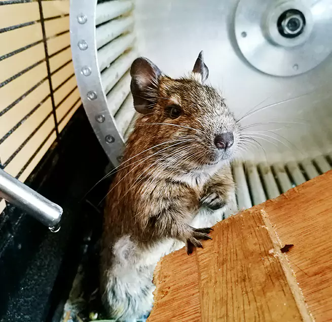 Why Homeowners & Businesses Trust Us Spanish Springs, NV